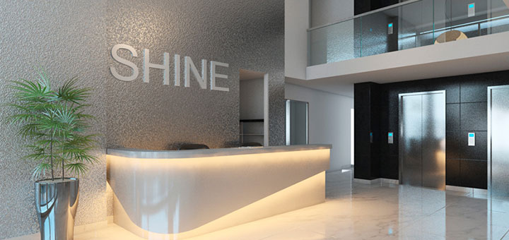 shine es la vivienda verde