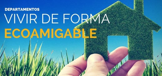 ¿Cómo vivir en un departamento más ecoamigable?