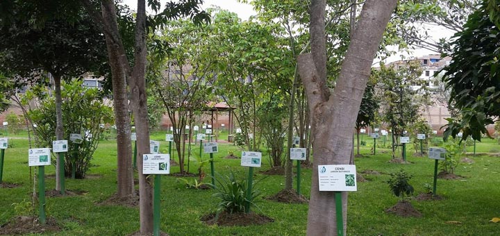 Jardín Botánico Plantas Medicinales