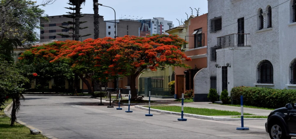 por que vivir en Santa Beatriz