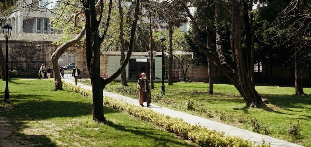 11 actividades para realizar en un parque