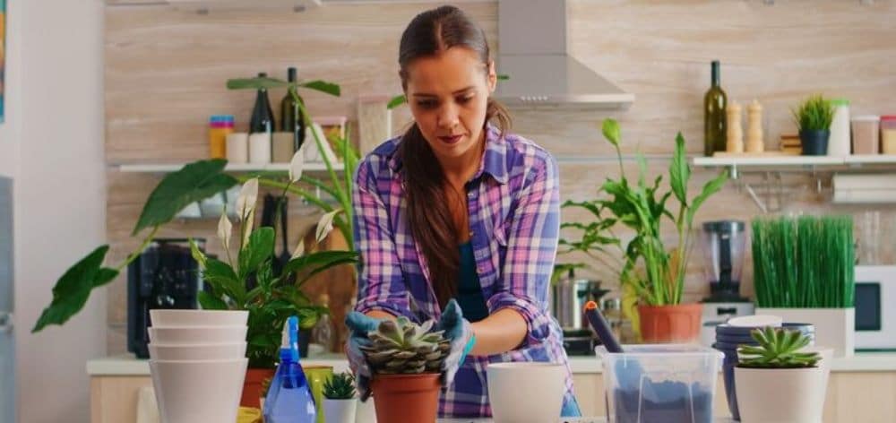 Huertos urbanos: Cómo cultivar tus propias plantas en un departamento