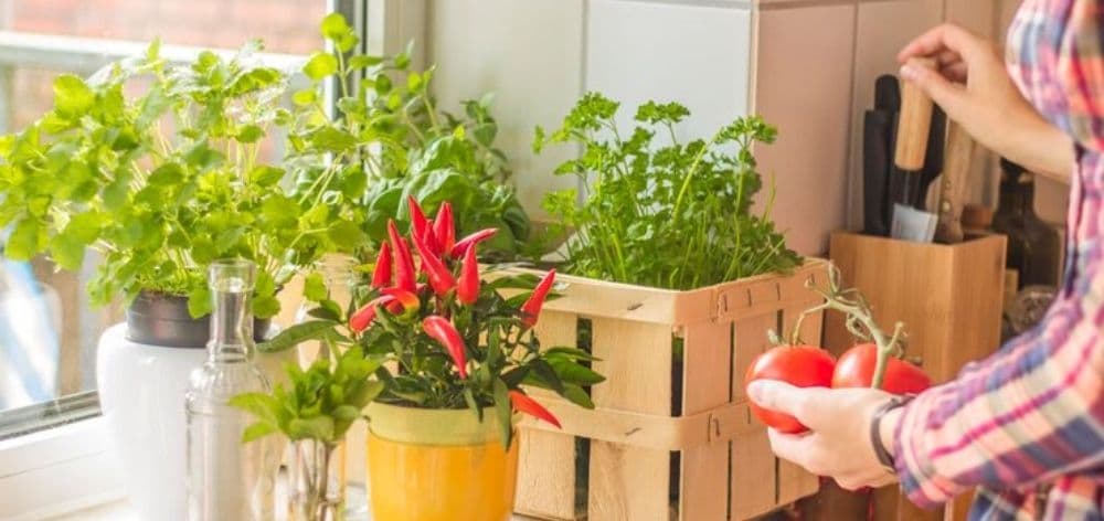 incorporar huerto decoracion hogar