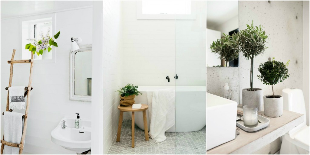 ¿Cómo construir un pequeño jardín interior en tu departamento?